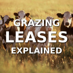 Grazing Leases