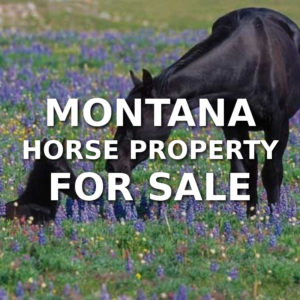 Montana Horse Property For Sale