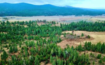 0 Strandskov Road, Lincoln MT 59639