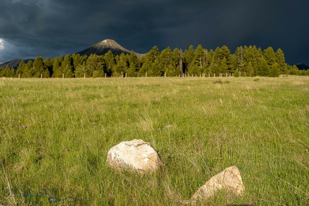 00 Above Paradise Trail, Livingston MT 59047
