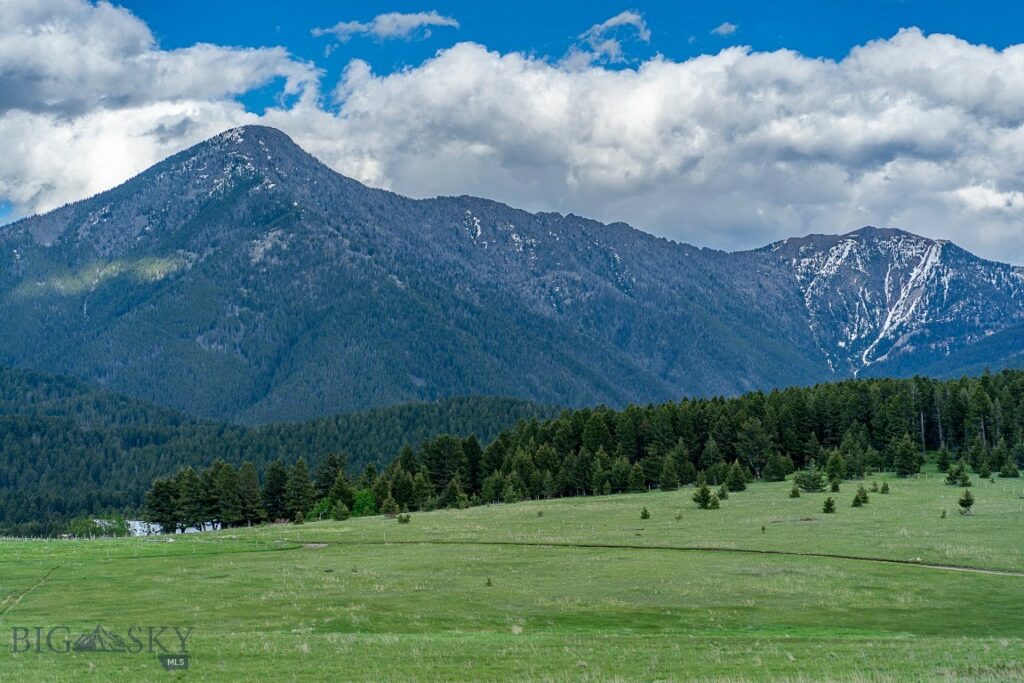 00 Above Paradise Trail, Livingston MT 59047