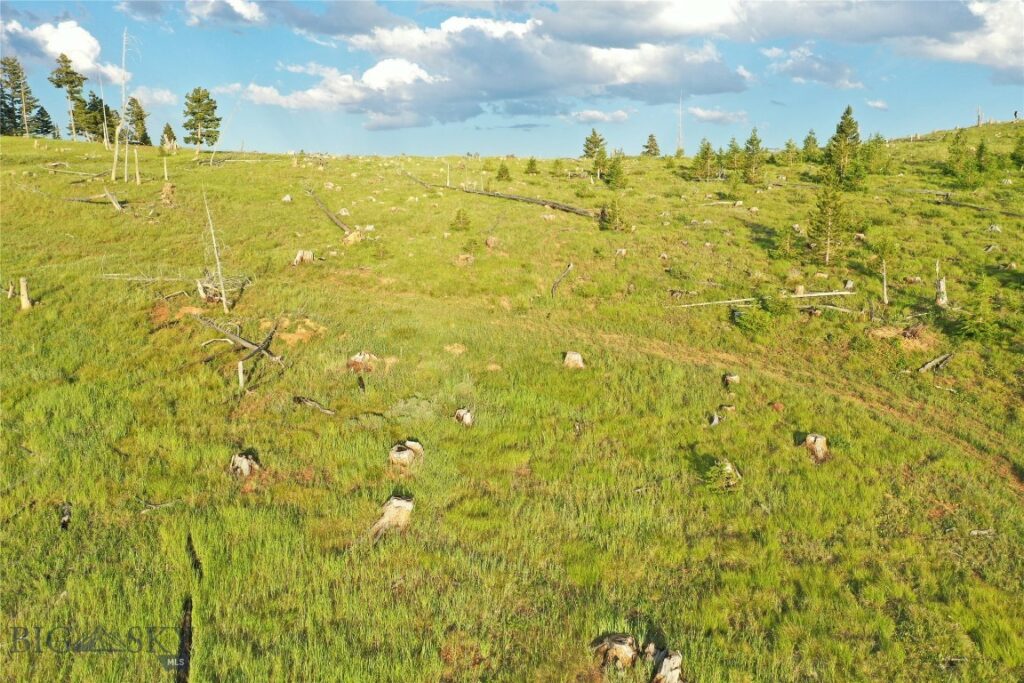 1 Garnet Range Tract, Drummond MT 59832