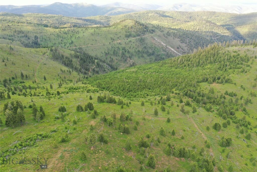 1 Garnet Range Tract, Drummond MT 59832