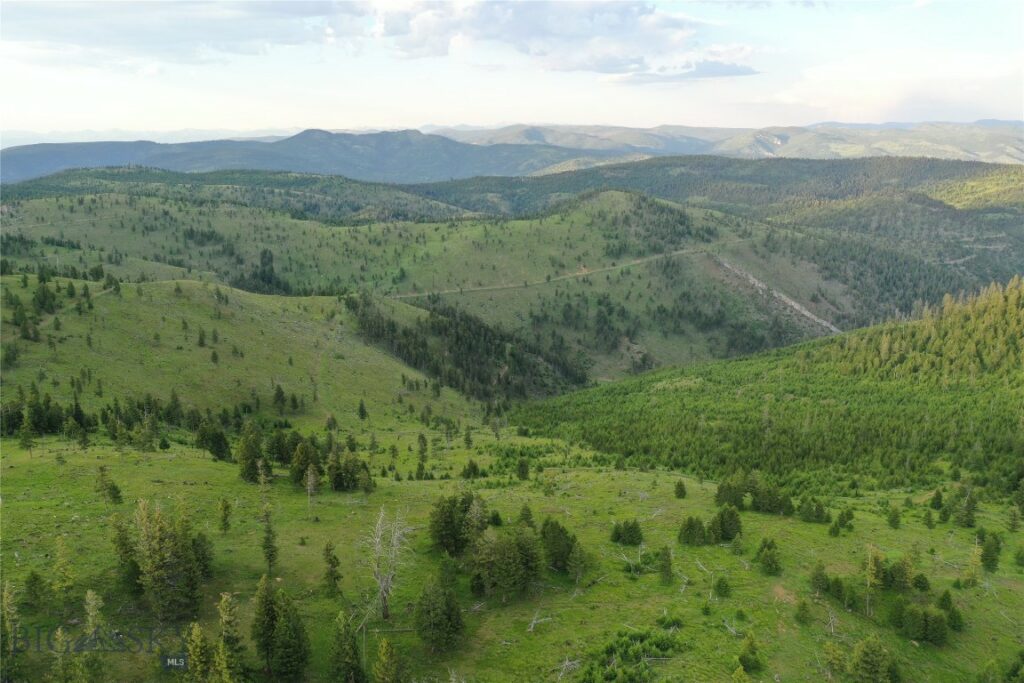 1 Garnet Range Tract, Drummond MT 59832