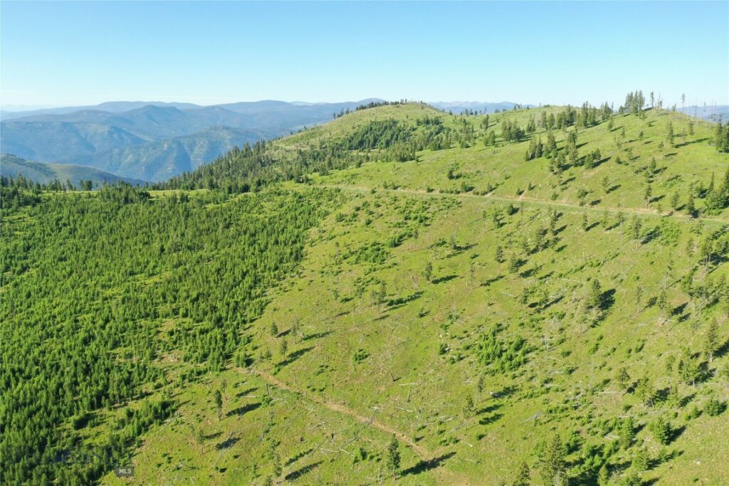 1 Garnet Range Tract, Drummond MT 59832