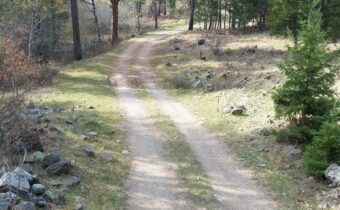 1 Tract, Bull Elk, Drummond MT 59832