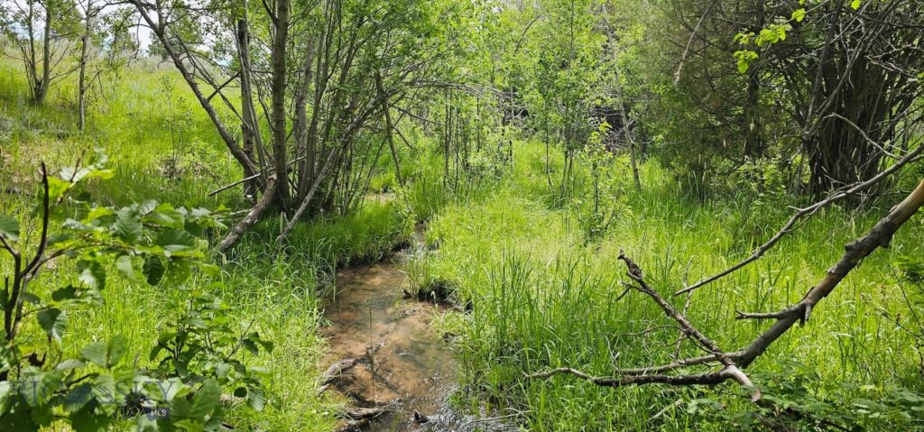 10 Tract, Hall Creek, Helmville MT 59843