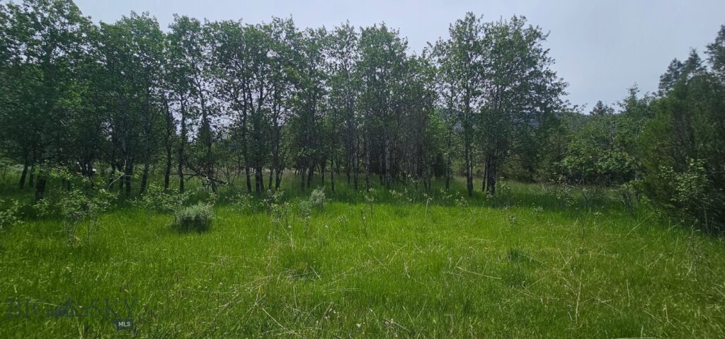 10 Tract, Hall Creek, Helmville MT 59843