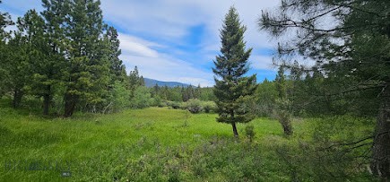 10 Tract, Hall Creek, Helmville MT 59843