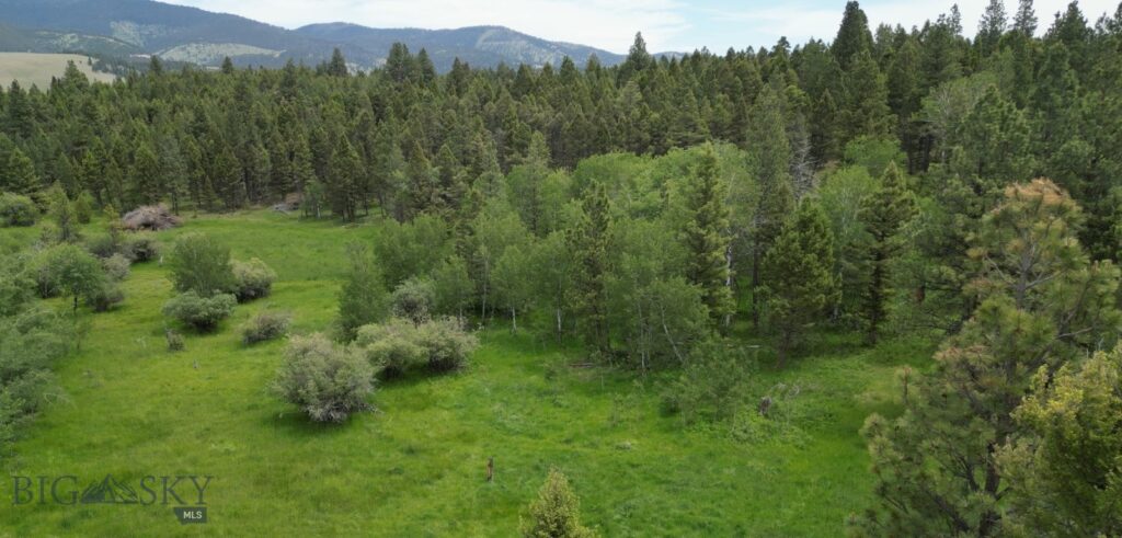 10 Tract, Hall Creek, Helmville MT 59843