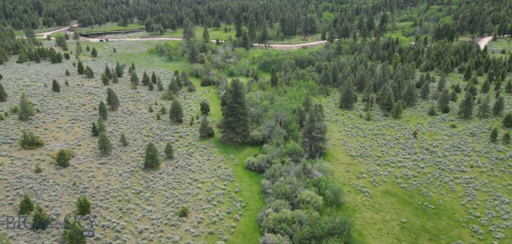 10 Tract, Hall Creek, Helmville MT 59843