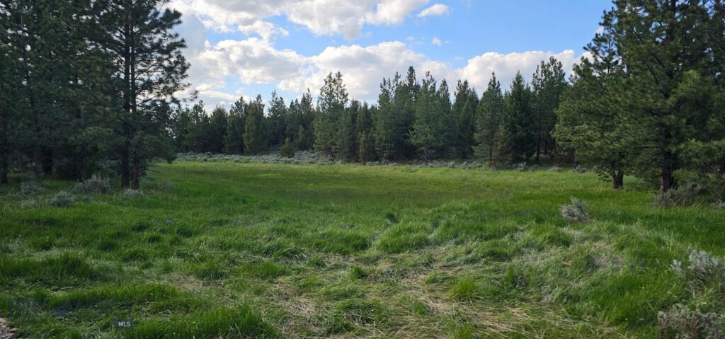 10 Tract, Hall Creek, Helmville MT 59843