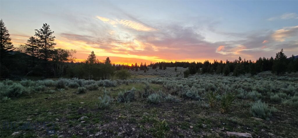 10 Tract, Hall Creek, Helmville MT 59843