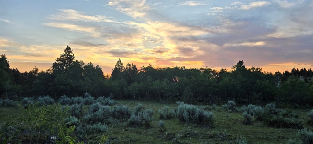 10 Tract, Hall Creek, Helmville MT 59843