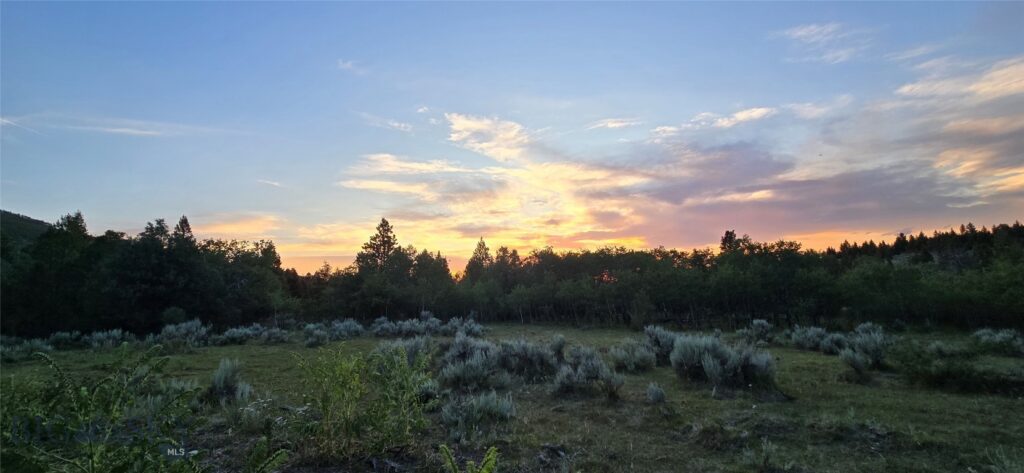 10 Tract, Hall Creek, Helmville MT 59843