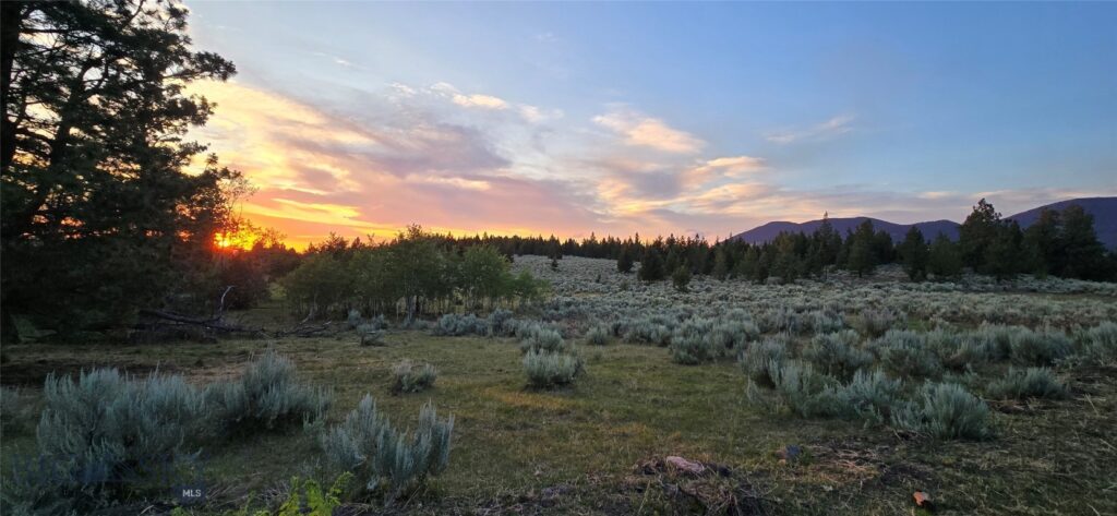 10 Tract, Hall Creek, Helmville MT 59843