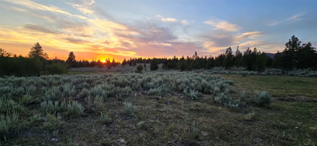10 Tract, Hall Creek, Helmville MT 59843