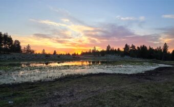 10 Tract, Hall Creek, Helmville MT 59843