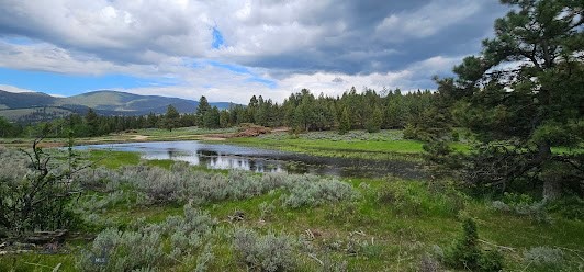 10 Tract, Hall Creek, Helmville MT 59843