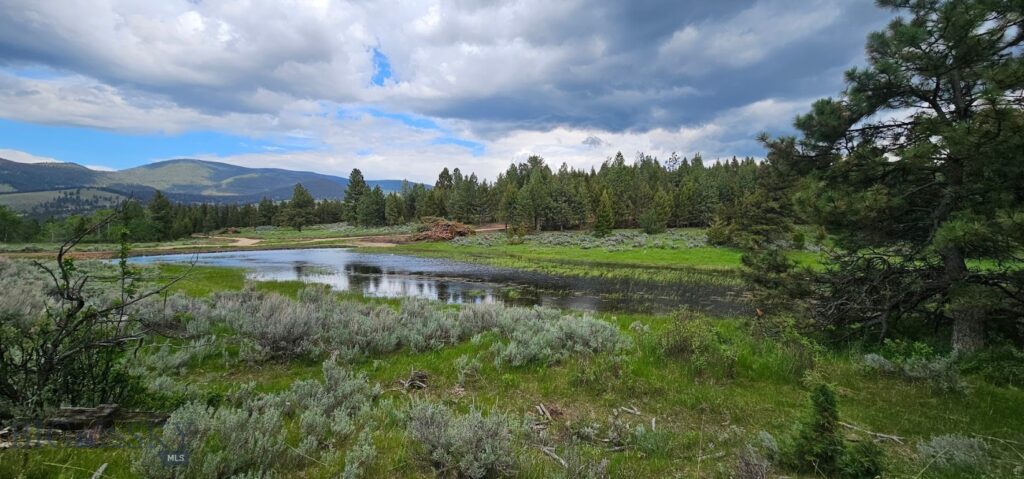 10 Tract, Hall Creek, Helmville MT 59843