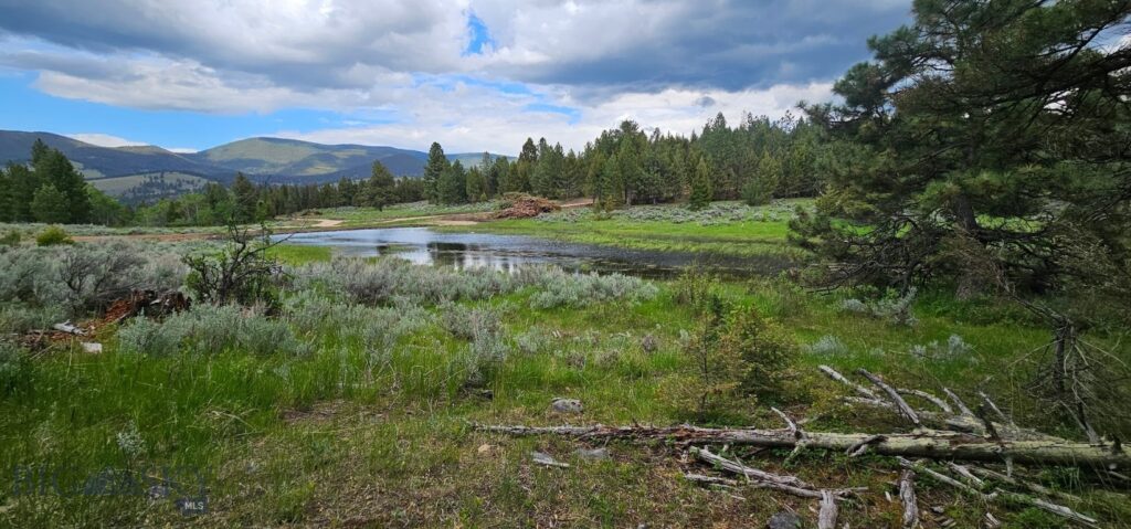 10 Tract, Hall Creek, Helmville MT 59843