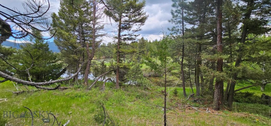 10 Tract, Hall Creek, Helmville MT 59843