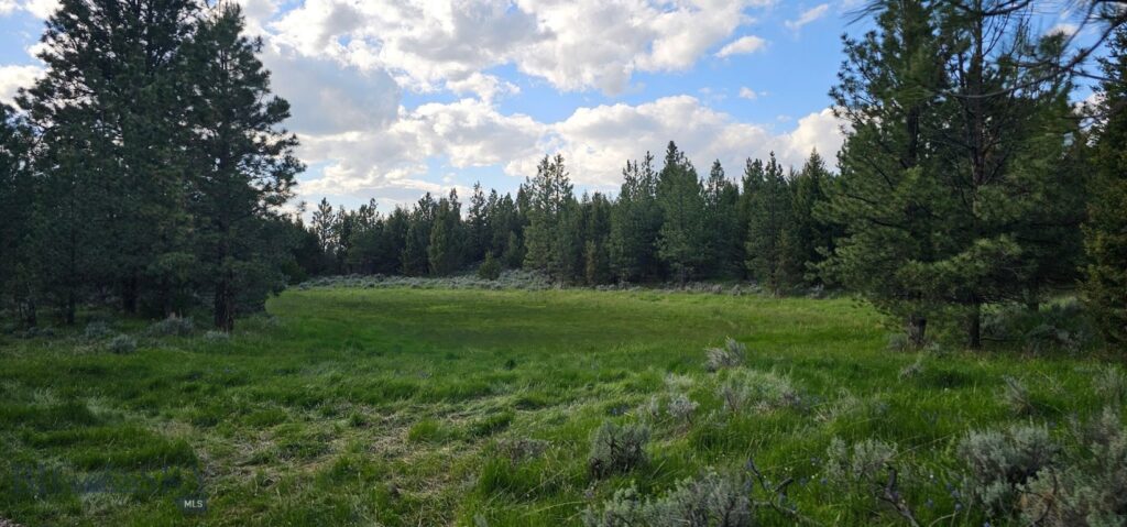 10 Tract, Hall Creek, Helmville MT 59843