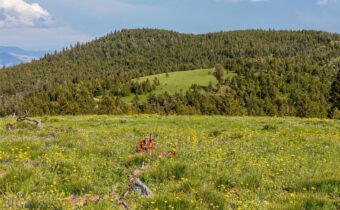 10 Tract, Garnet Range, Drummond MT 59832