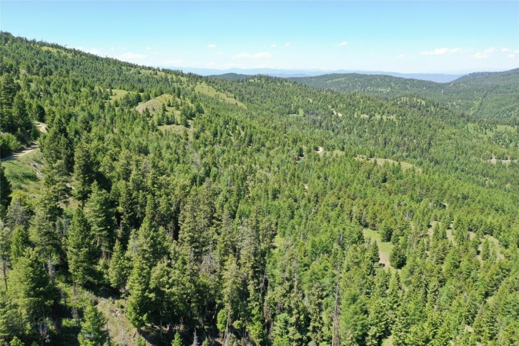 10 Tract, Garnet Range, Drummond MT 59832