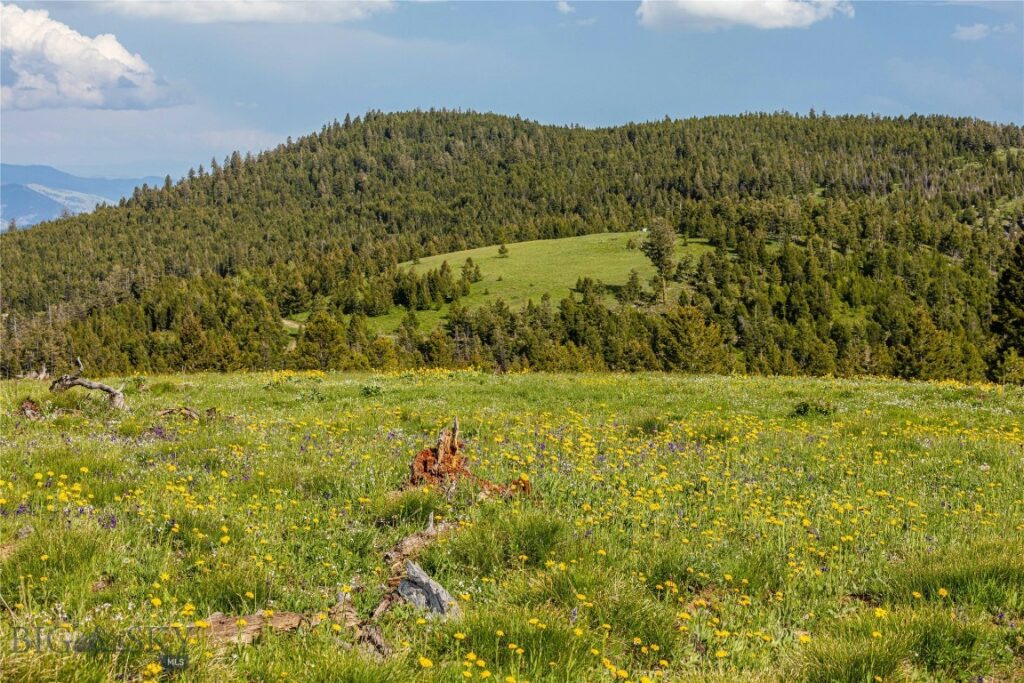 10 Tract, Garnet Range, Drummond MT 59832