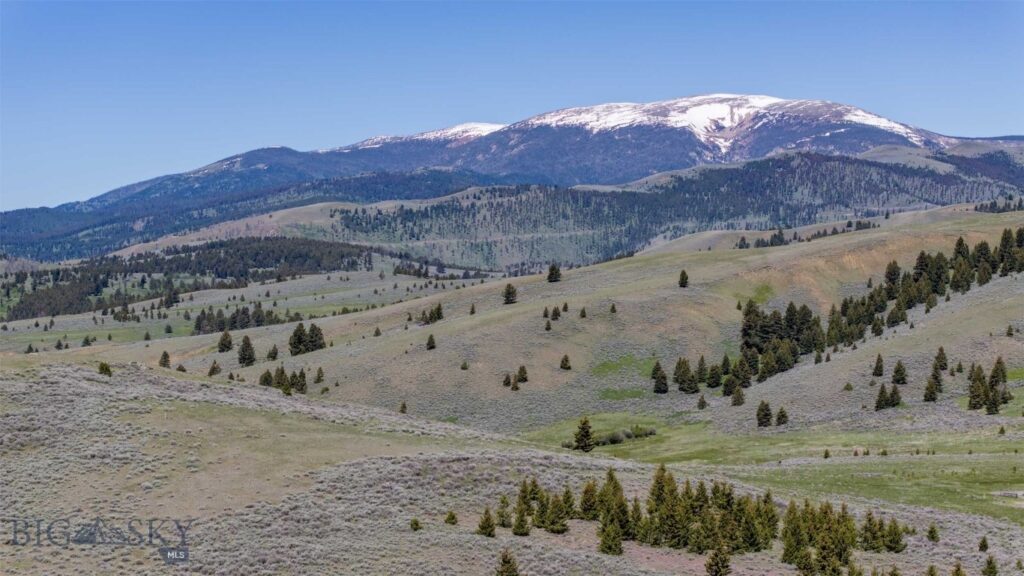 100 Cougar Trail, Townsend MT 59645