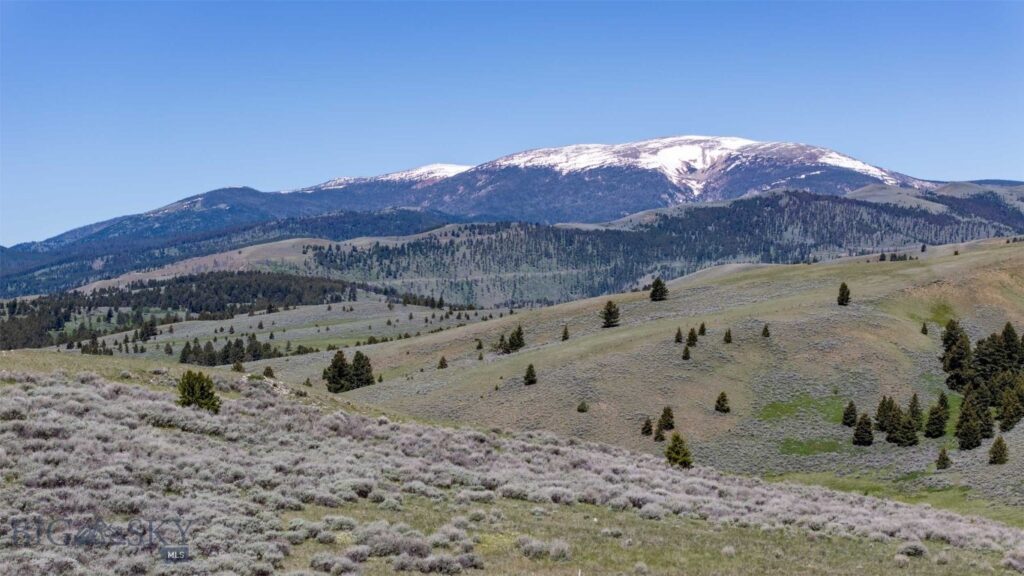 100 Cougar Trail, Townsend MT 59645