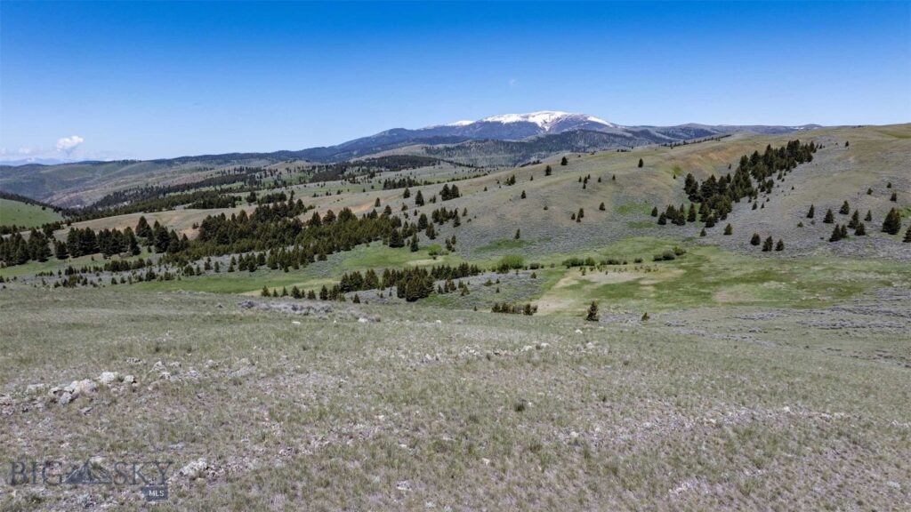 100 Cougar Trail, Townsend MT 59645