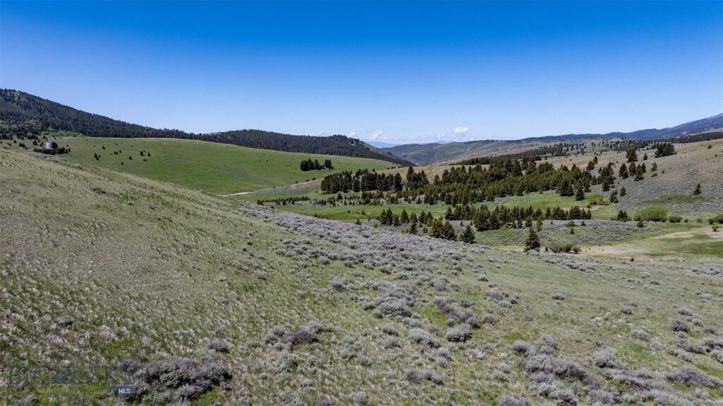 100 Cougar Trail, Townsend MT 59645
