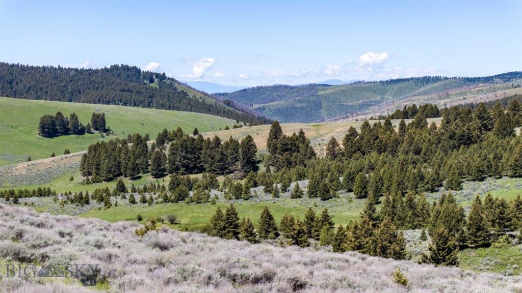 100 Cougar Trail, Townsend MT 59645