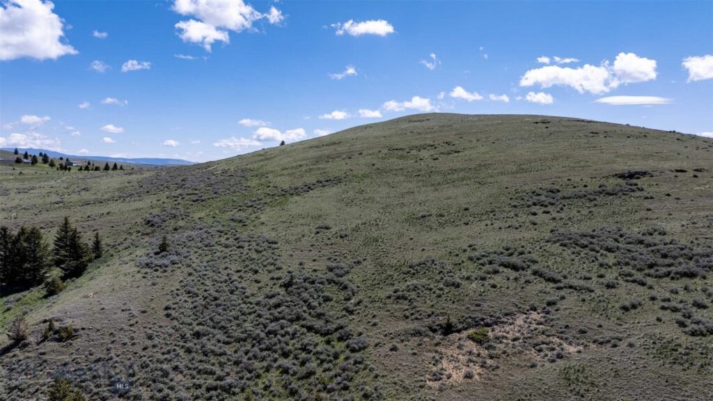 100 Cougar Trail, Townsend MT 59645