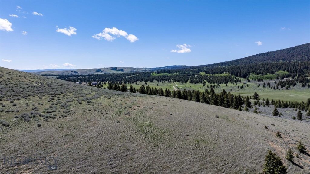100 Cougar Trail, Townsend MT 59645