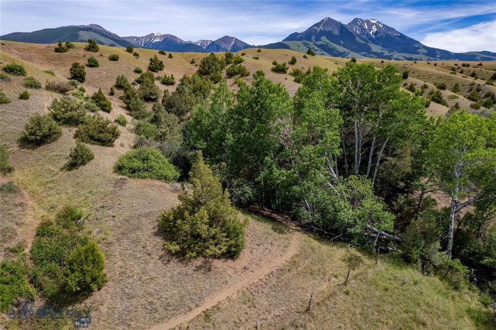 1005 East River Road, Emigrant MT 59027