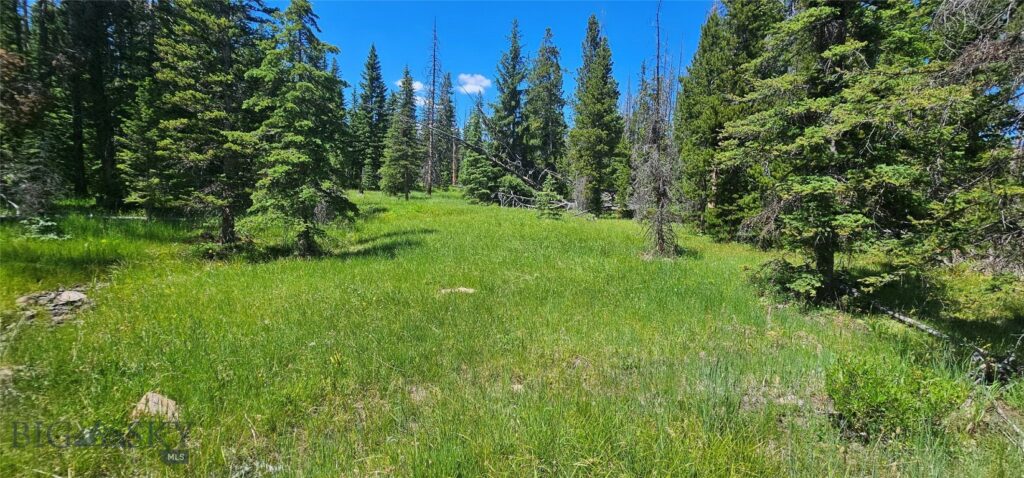 10085 Snowshoe Deadwood Road, Canyon Creek MT 59633