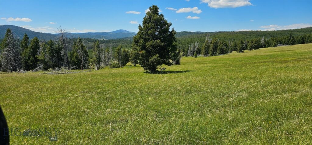 10085 Snowshoe Deadwood Road, Canyon Creek MT 59633