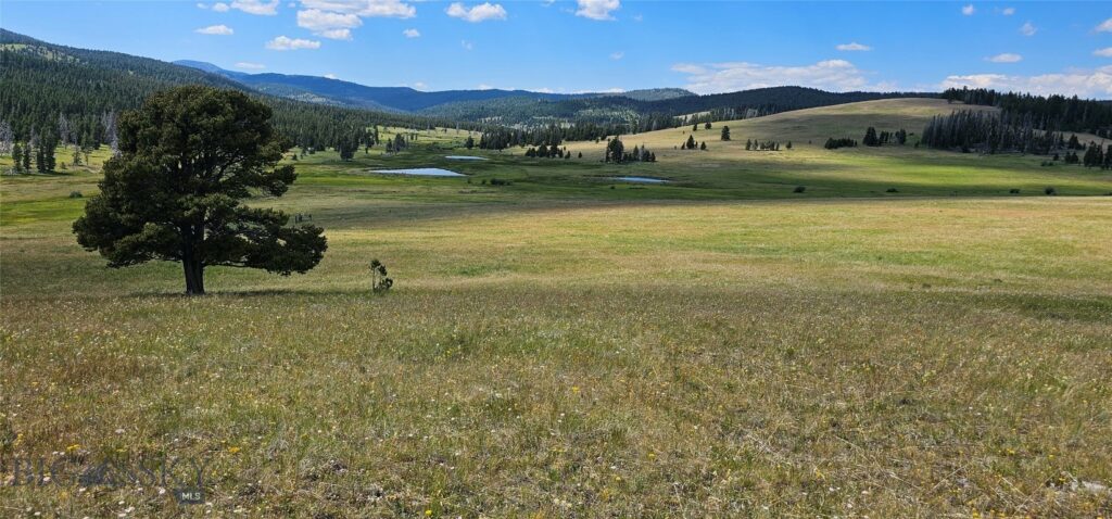 10085 Snowshoe Deadwood Road, Canyon Creek MT 59633