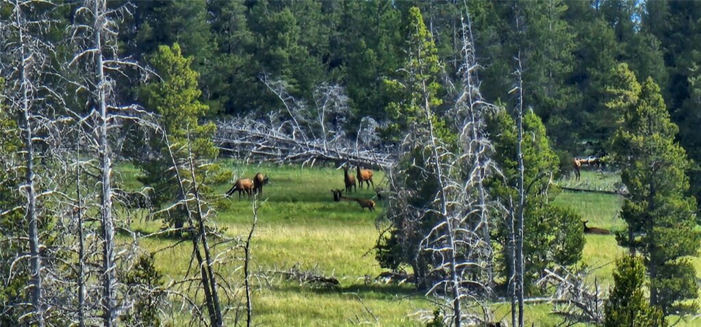 10085 Snowshoe Deadwood Road, Canyon Creek MT 59633