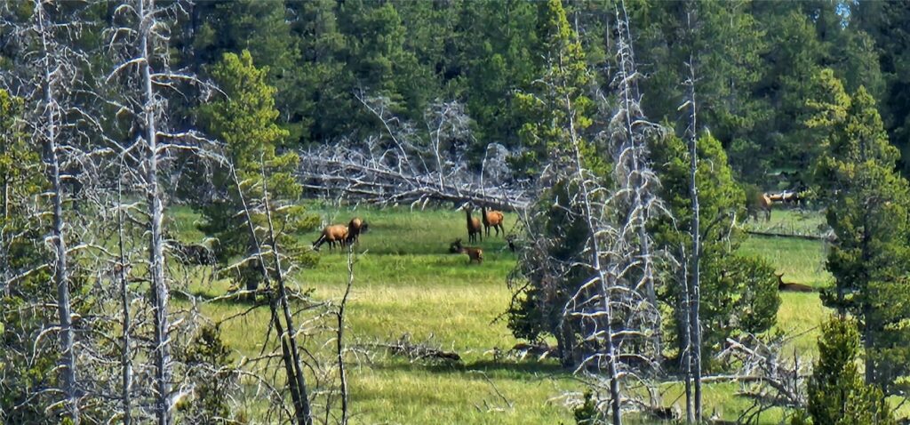 10085 Snowshoe Deadwood Road, Canyon Creek MT 59633