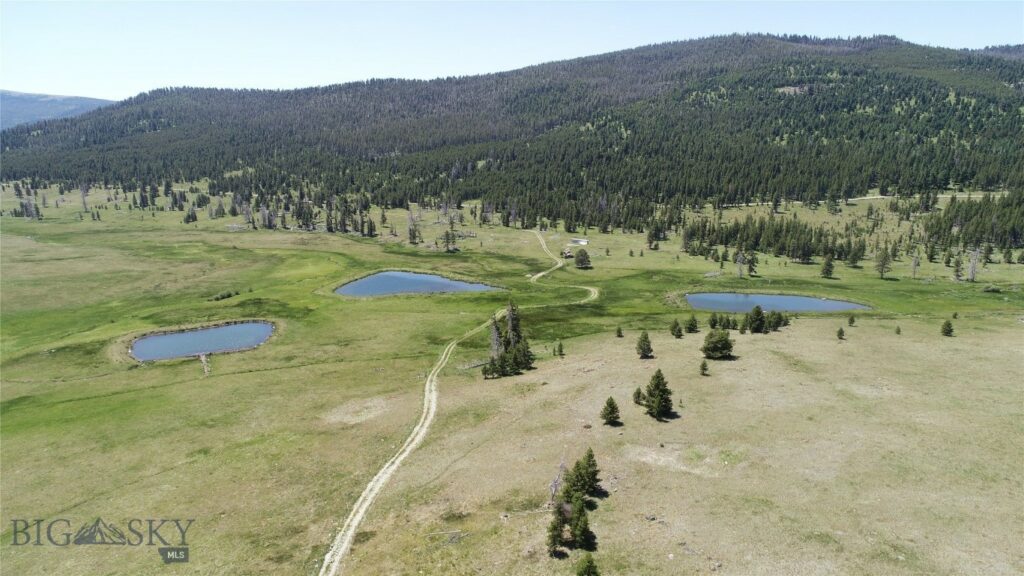 10085 Snowshoe Deadwood Road, Canyon Creek MT 59633