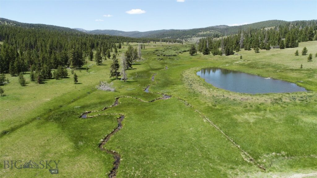 10085 Snowshoe Deadwood Road, Canyon Creek MT 59633