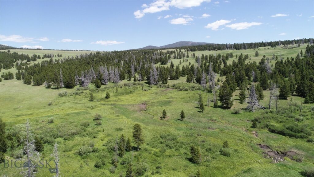 10085 Snowshoe Deadwood Road, Canyon Creek MT 59633