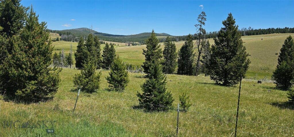 10085 Snowshoe Deadwood Road, Canyon Creek MT 59633