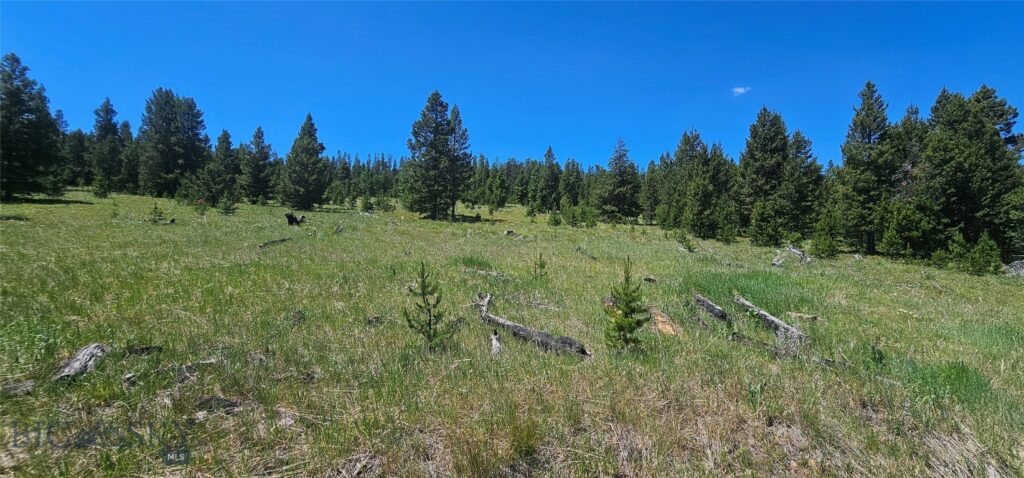 10085 Snowshoe Deadwood Road, Canyon Creek MT 59633