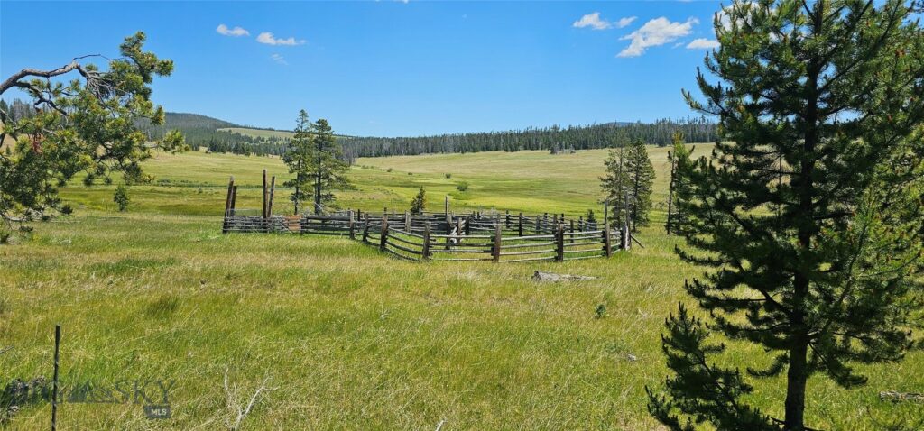 10085 Snowshoe Deadwood Road, Canyon Creek MT 59633