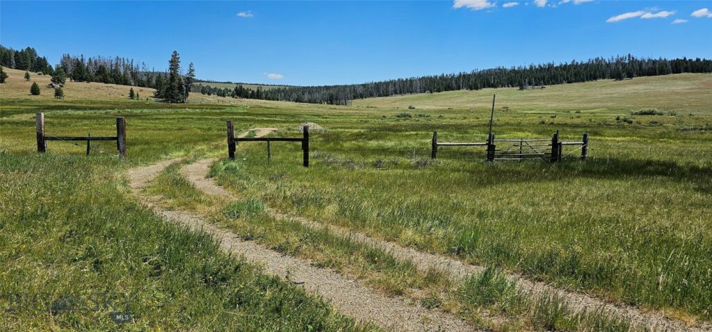 10085 Snowshoe Deadwood Road, Canyon Creek MT 59633